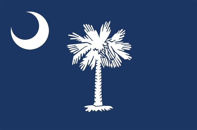 2022 South Carolina Senate Election image