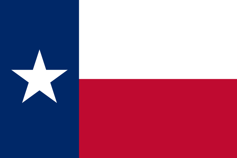 2022 Texas Governor Election image