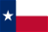 2022 Texas Governor Election