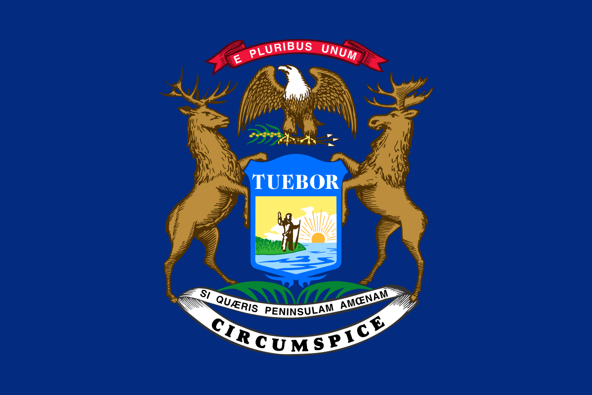 2022 Michigan Governor Election image