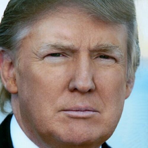 Donald Trump Immigration  image