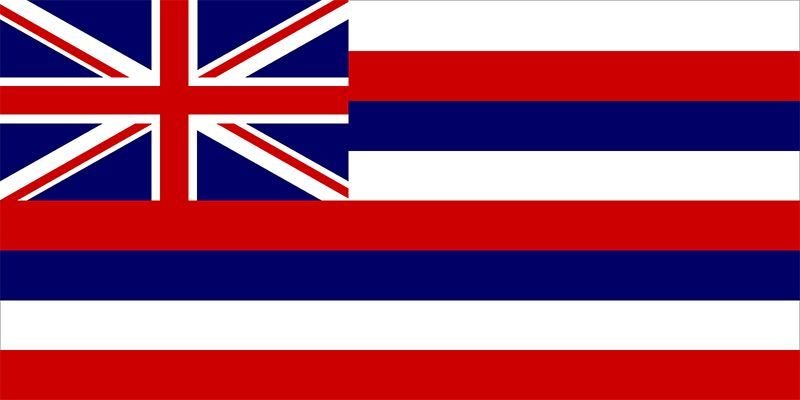 2022 Hawaii Governor Election image