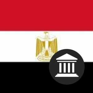 Egypt Politics image