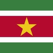 Suriname image