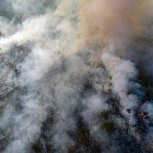 Amazon Forest Fire Crisis image