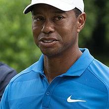 Tiger Woods image