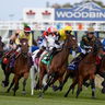 Woodbine Racetrack image