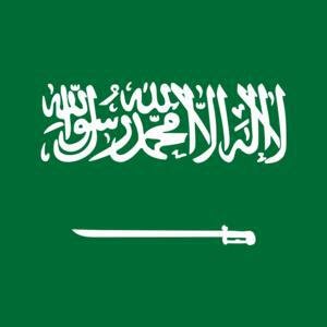Saudi Arabia image