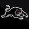 Penrith Panthers