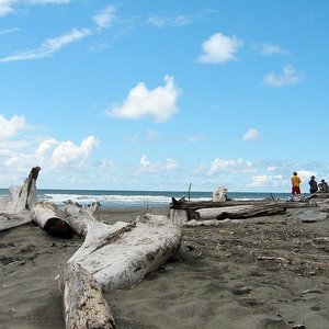 Ocean Shores, Washington image