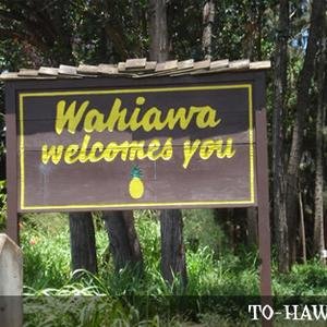 Wahiawa image