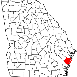 McIntosh County, Georgia image