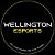 Wellington Esports