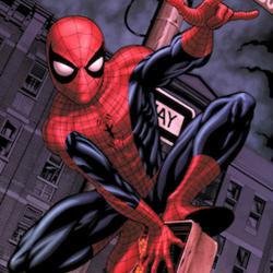 Spider-Man image