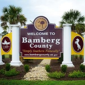 Bamberg County image