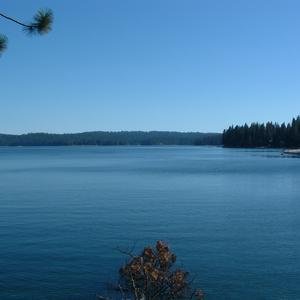 Shaver Lake image