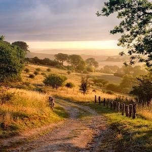 Hertfordshire image