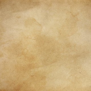 Parchment image