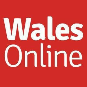 Wales Online image