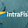 Intrafish | Latest Seafood, Aquaculture and Fisheries News image