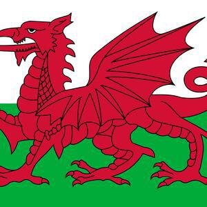Welsh image