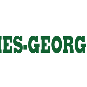 Times-Georgian image