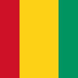 Guinea image