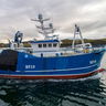 The Fishing Daily - Irish Fishing Industry News image