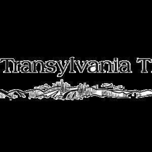 The Transylvania Times image
