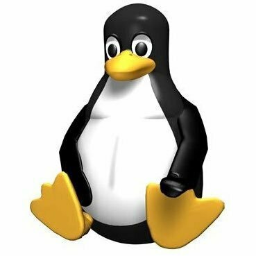 Linux image