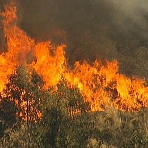 Bushfires image