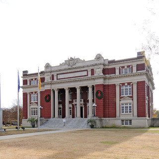Dillon County image