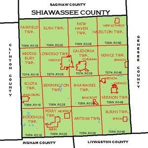 Shiawassee County image