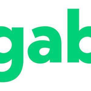 Gab Social Hosted on gab.com image