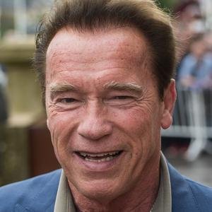Arnold Schwarzenegger image