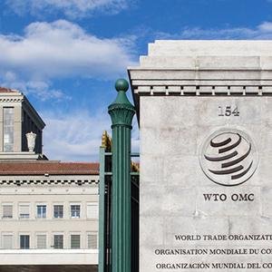 wto.org