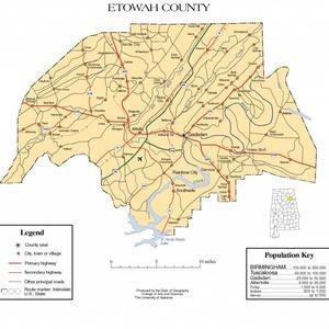 Etowah County image