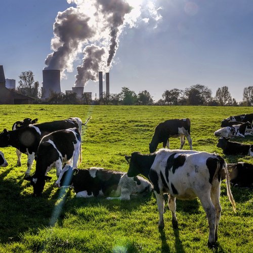 Carbon Emissions image