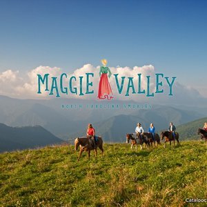 Maggie Valley image