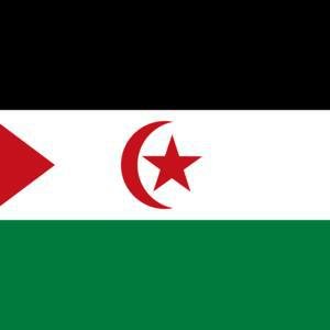Western Sahara image