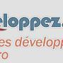 Developpez.com image