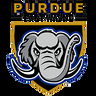 Purdue Fort Wayne Athletics image