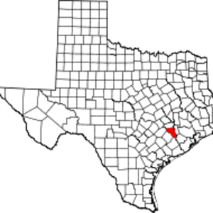 Austin County image