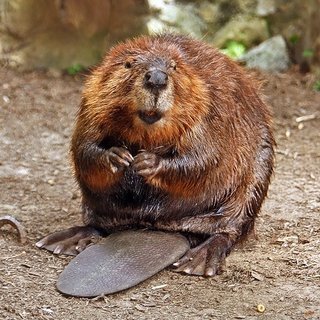 Beaver, West Virginia image
