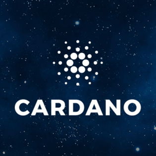 Cardano Feed image