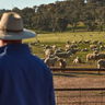 National Farmers' Federation image