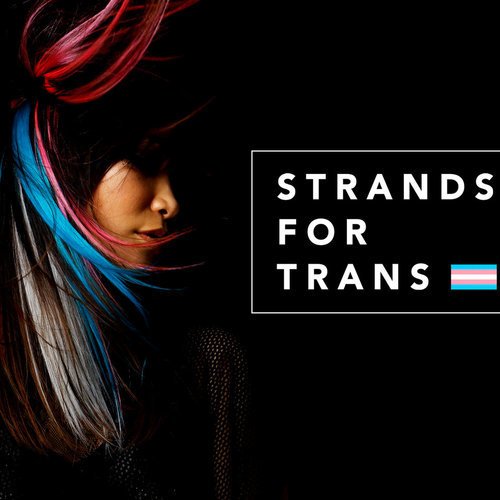 Strands For Trans image