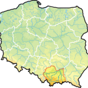 Lesser Poland Voivodeship image