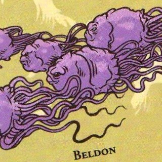 Beldon image