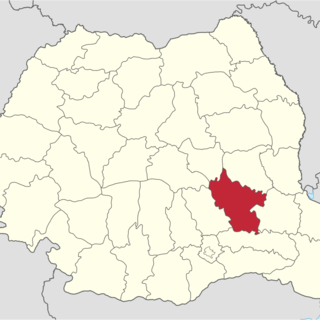 Buzău County image